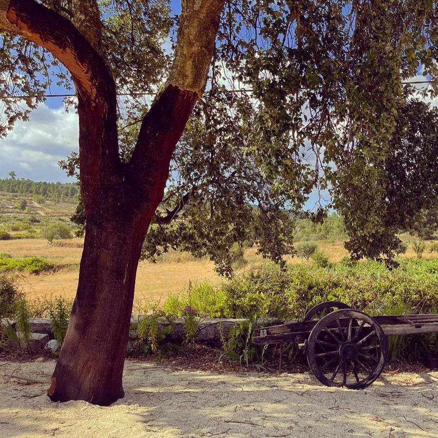 ホテル Quinta Da Corga Prova エクステリア 写真